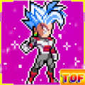 Tournament Of Warriors V.9 : Saiyan vs Fighters Apk