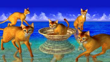 LOVE CAT!!  Abyssinian cat (Unreleased) APK Ảnh chụp màn hình #5