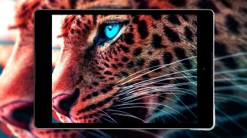 Cheetah Wallpapers HD APK צילום מסך #15