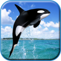 Whale Live HD Wallpaper Apk