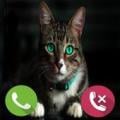 Fake Call Cat Prank Apk