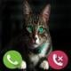 Fake Call Cat Prank APK