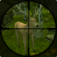 Real Deer Hunter 2017 APK