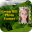 Green Hill Photo Frames Download on Windows