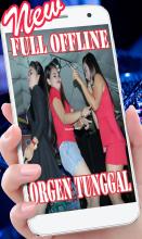 DJ ORGEN TUNGGAL 2019 + OFFLINE APK Download for Android