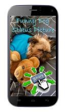 Funny Cute Dog Pictures APK Download for Android