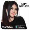 Kumpulan lagu Via Vallen Terpopuler Application icon