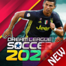 Hints For Dream Winner Soccer 2k20 Application icon