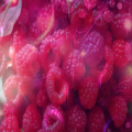 Beautiful Raspberry Wallpapers Apk