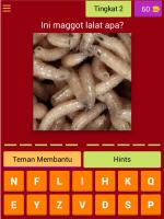 Maggot BSF Quiz 2020, Pondasi Bisnis Ternak Maggot APK 屏幕截图图片 #9