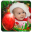 Christmas Photo Frames Download on Windows