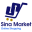 Sina Market Download on Windows