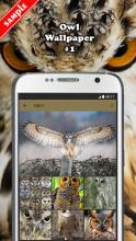 Owl Wallpaper APK Download for Android