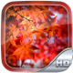 Autumn Wallpaper HD APK