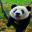 100 Cutest Panda Wallpapers Download on Windows