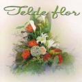 Telde Flor Apk