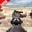 3d shooter:gun game Download on Windows
