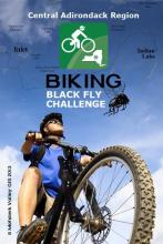 Black Fly Challenge APK Download for Android