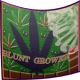 Blunt Grower APK