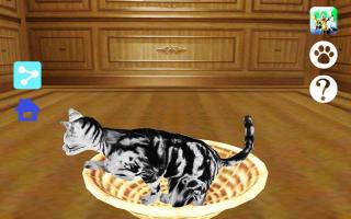 Captura de pantalla de LOVE CAT!! American Shorthair (Unreleased) APK #16