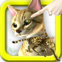 LOVE CAT!! Savannah cat (Unreleased) APK 電影海報圖片