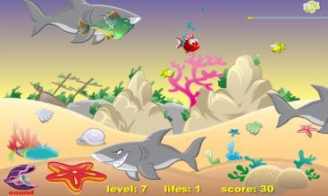 Big Fish Eat Small Fish APK Download for Android