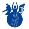 IPL 2020 Application icon