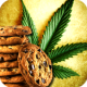 Marihuana Recipes - Marijuana APK