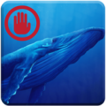 Avoid :Blue whale challenging app Apk