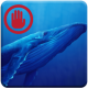 Avoid :Blue whale challenging app APK