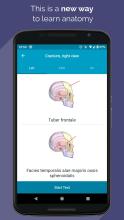 Easy Anatomy APK Download for Android