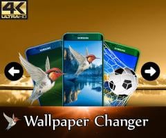 Wallpaper Changer APK צילום מסך #1