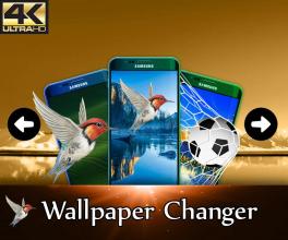 Wallpaper Changer APK Download for Android