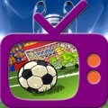 TV Online HD Word Cup Apk