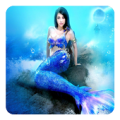 Mermaid Live Wallpaper Apk