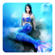 Mermaid Live Wallpaper APK