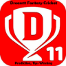 Dream11 Fantasy Cricket Prediction, Tips Winning Application icon