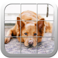 Picture Puzzle Dogs Apk