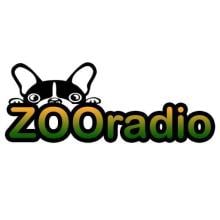 ZOORADIO APK Download for Android