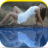 Water Reflection Photo Editor APK - 下載 適用于 Windows