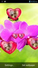 Orchid Heart Live Wallpaper APK Download for Android