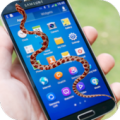 Snake on screen Apk