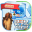 Guide Ice Age Adventure Vilage Download on Windows