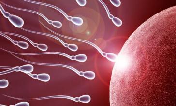 Ovulation Period Fertile APK Download for Android