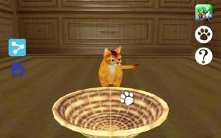 LOVE CAT!!  Abyssinian cat (Unreleased) APK Ảnh chụp màn hình #18