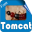 About Tomcat Download on Windows