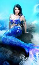 Mermaid Live Wallpaper APK Download for Android