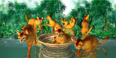 LOVE CAT!!  Abyssinian cat (Unreleased) APK Ảnh chụp màn hình #1