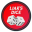 Liar's Dice Download on Windows