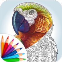 Изображения Coloring Book, Relax by Painting & Magical Colors на ПК с Windows